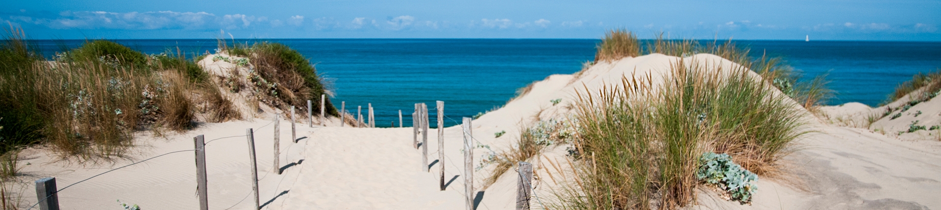 Plage à proximité de Dax dans les Landes